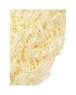 Preserved Broom Bloom Bleached