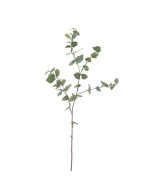 Eucalyptus Spray 96cm