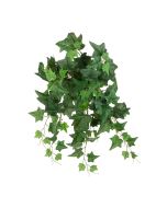 ECO UV English Ivy Bush Trail - 58cm