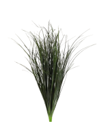 68cm Bear Grass Bush