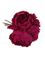 28cm Beauty Peony Posy x 5 Heads