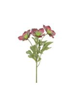 Iced Hellebore Spray 38cm Burgundy