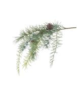 Cedar Asparagus Spray 51cm