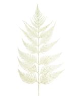 Sparkle Leather Fern Leaf 55cm White