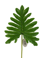 Real Touch Philodendron Leaf 51cm