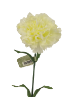 Carnation Stem Cream 71cm