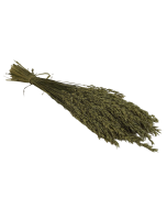 Avena Sativa (Oats) Natural 100g (Spanish)