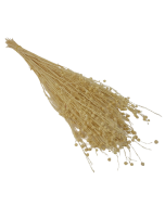 Flax Bleached x 100g
