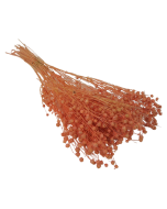 Flax Peach x 70g