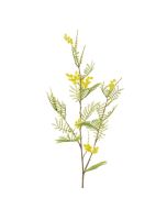 Mimosa Spray 87cm