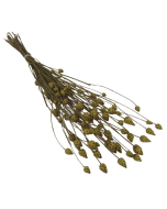 Mini Artichoke Bunch Natural