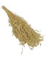 Oats Bunch Bleached