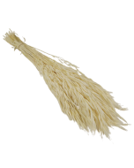 Avena Sativa (Oats) - White x 200g