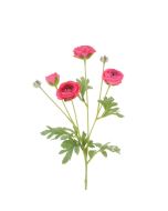 Ranunculus Spray 67cm Beauty