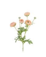 ECO Ranunculus Spray 67cm Peach