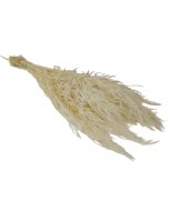 Avena Salvaje White x 200g