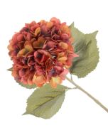Single Hydrangea - Burnt Orange (19cm diameter, 82cm long)