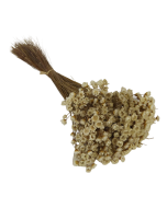 Glixia Natural App 50cm