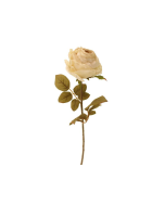 68cm Dried Look Rose Bud Single Cream