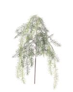 Snowy Asparagus Spray 104cm