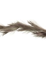 160cm Pampas Garland Grey