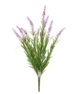 Lavender Bush 57cm UV Protected