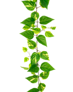 Pothos Garland 152cm UV Protected