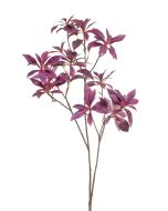 Rhododendron Branch Purple 105cm