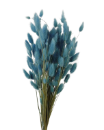 Lagarus/Bunny Tails Aquamarine 50g