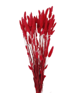 Lagarus/Bunny Tails Red 50g