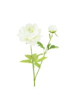Peony Spray 62cm White