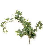 Ivy Bush Green 85cm Long