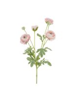 ECO Ranunculus Spray 67cm Pink