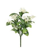 Exterior Everlast  25cm Star Flower plant U.V