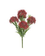 Exterior Everlast  24cm Skimmia Plant U.V