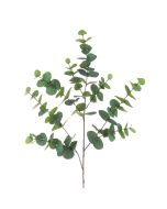 Eucalyptus Supreme 116cm