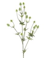 Thistle Spray Green 81cm