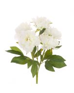 Peony Bush White - 47cm