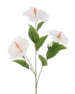 Hibiscus Spray 81cm Cream