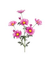 Meadow Cosmos Spray 85cm Wine