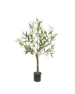 Olive Tree In Pot 90cm