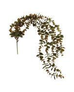 80cm Trailing Eucalyptus Vine Brown