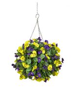 Pansy Hanging Basket Purple/Yellow (30cm Basket)