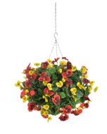 Pansy Hanging Basket Red/Yellow (30cm Basket)
