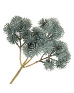 Echinops Bush Teal/Green 40cm