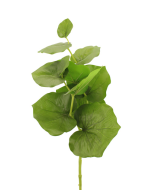 75cm Large Begonia Leaf Green