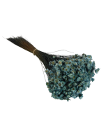 Glixia Bunch App 50cm Blue