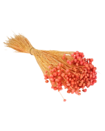 Amarelino Bunch App 50cm Pink