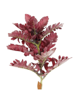 42cm Dusty Miller Pick Burgundy