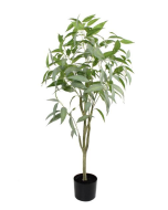 120cm Blue Gum Tree Green